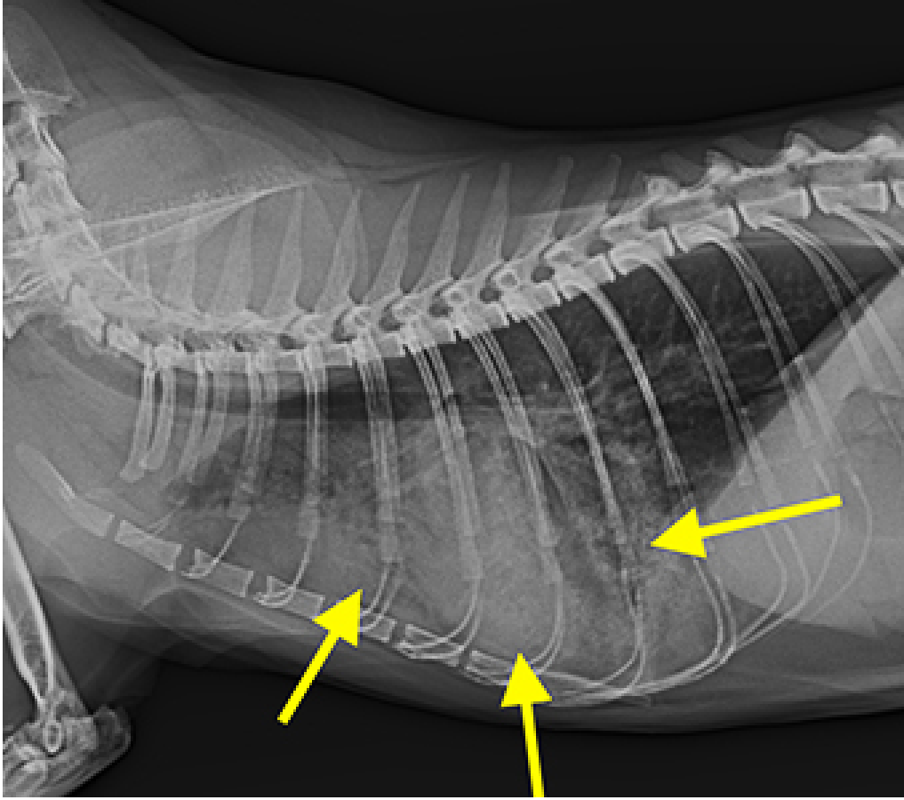 case01