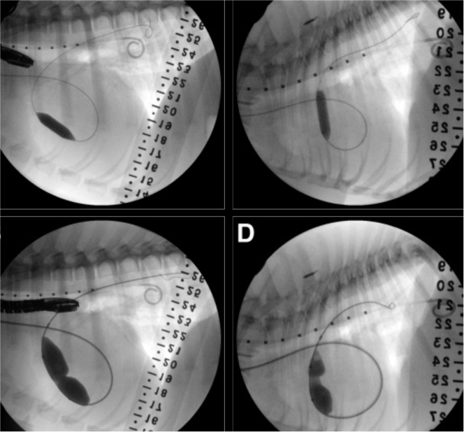 surgery_image