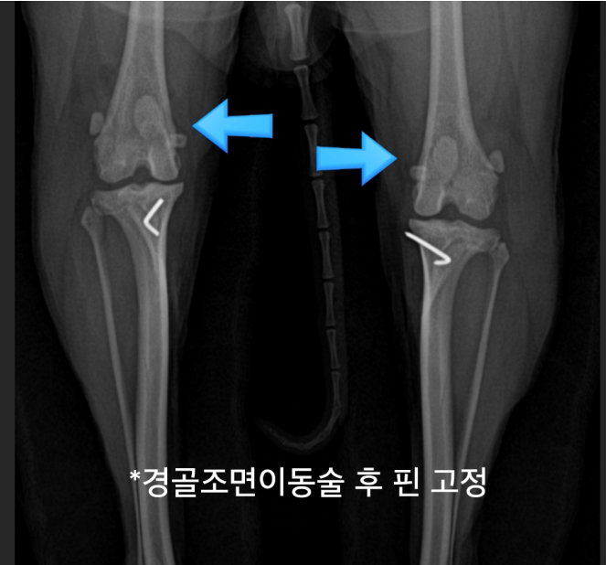 surgery_image
