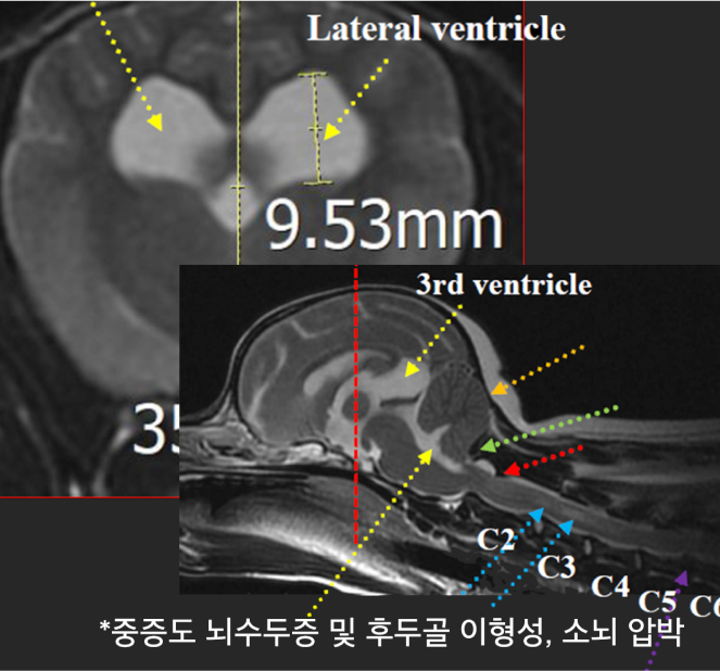 surgery_image