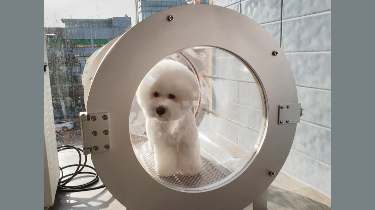 entrance_slide_image